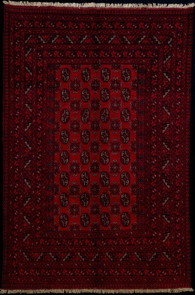 4816-afghanische Bouchara-Wolle